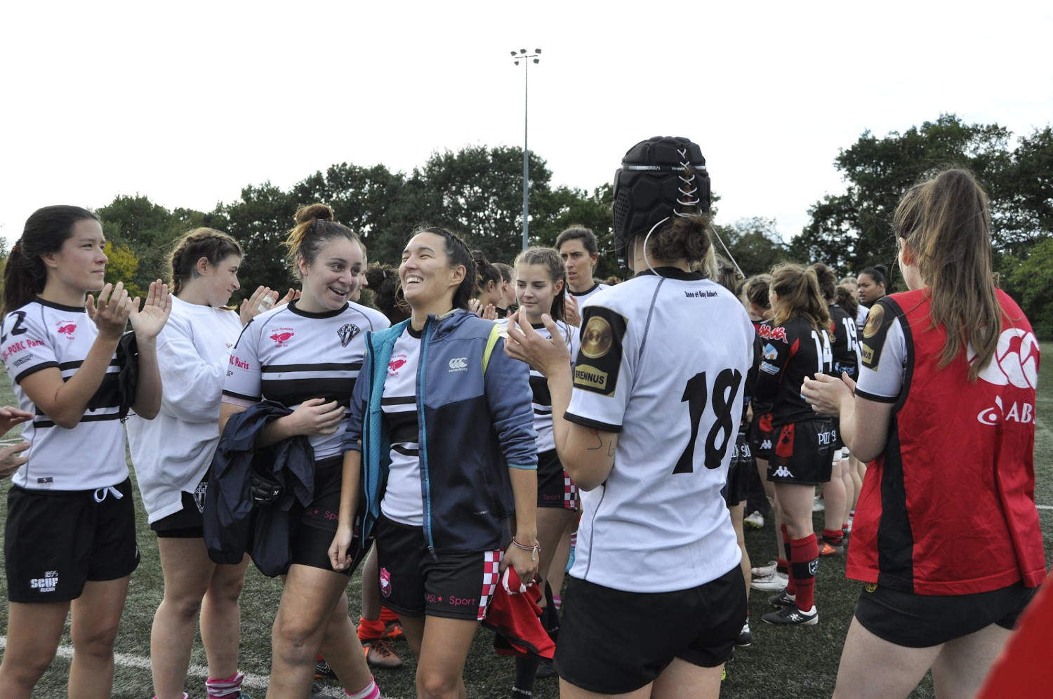 Le dessous des pelouses