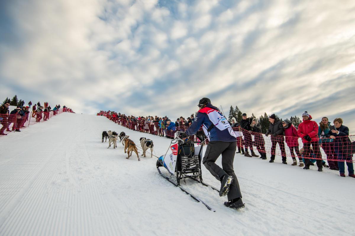 La Grande Odyssée VVL 2023, une aventure qui vous mord !