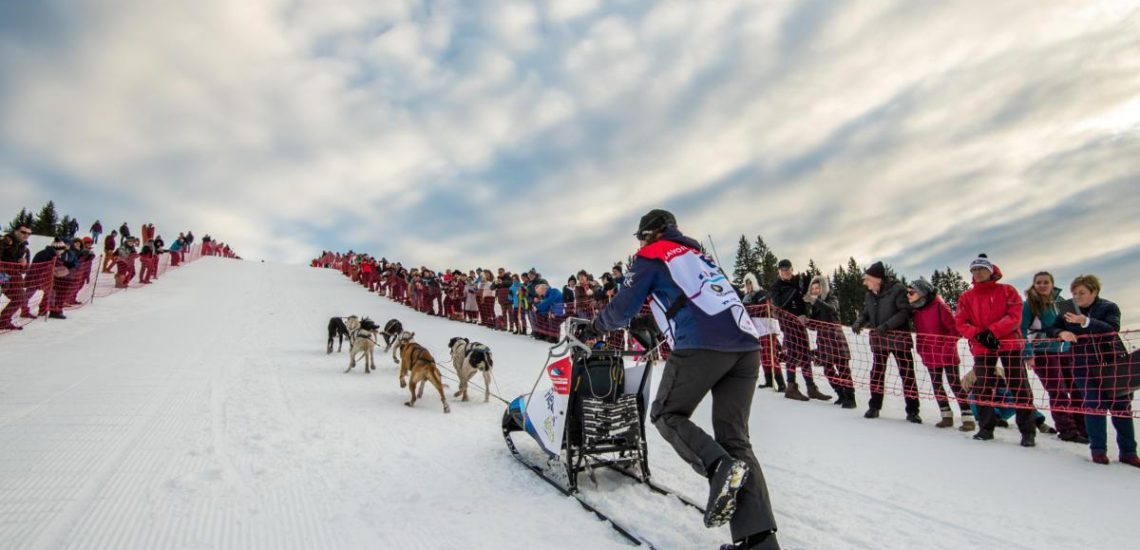 La Grande Odyssée VVL 2023, une aventure qui vous mord !