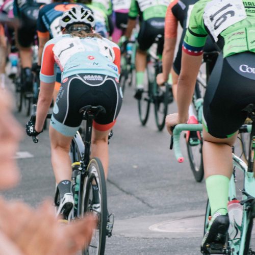 allie-smith-1H0jyBraVdo-unsplashgimp