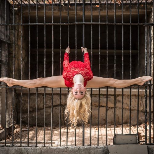 david-hofmann-t1KmiSNaXr8-unsplashgimp