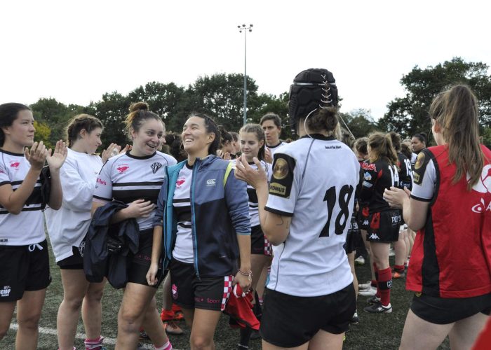 Le dessous des pelouses